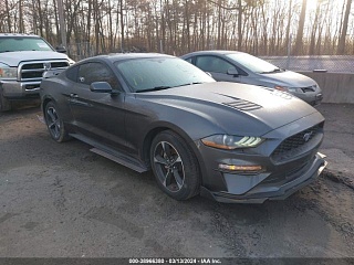 FORD MUSTANG ECOBOOST 2019