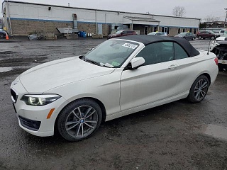 BMW 230XI 2018