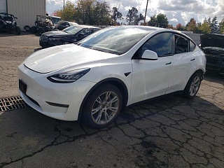 TESLA MODEL Y 2020