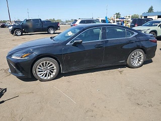 LEXUS ES 300H LUXURY 2020