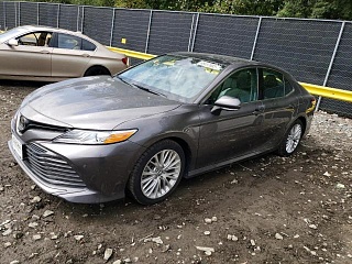 TOYOTA CAMRY L 2019