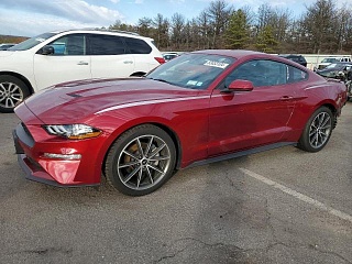 FORD MUSTANG 2019