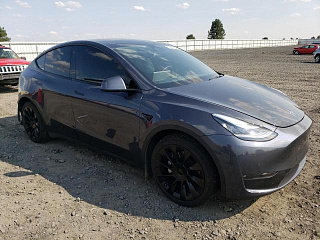 TESLA MODEL Y 2020