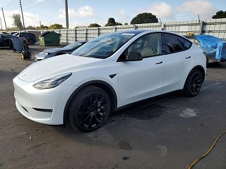 TESLA MODEL Y 2020