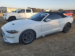 FORD MUSTANG 2019