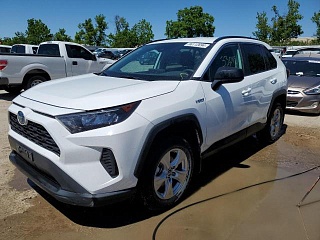 TOYOTA RAV4 LE 2020